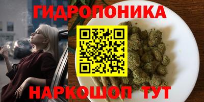 гидра Бийск