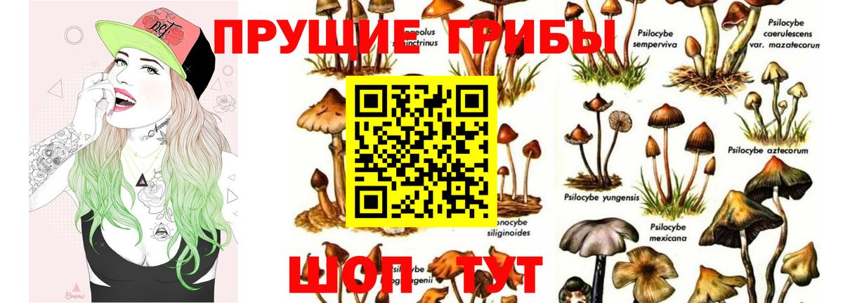 Псилоцибиновые грибы мицелий Когалым